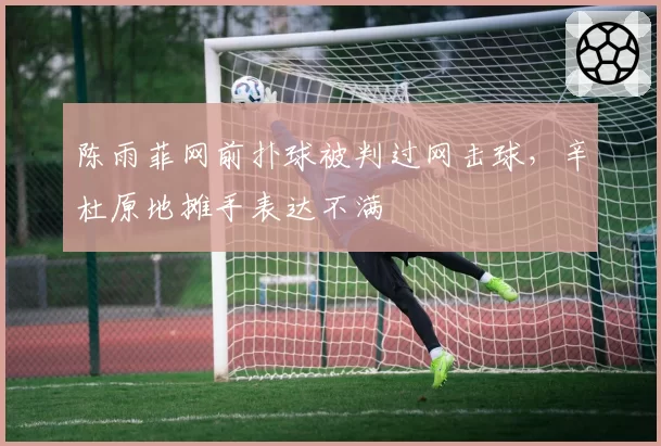 陈雨菲网前扑球被判过网击球,辛杜原地摊手表达不满