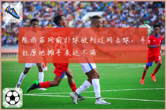 陈雨菲网前扑球被判过网击球,辛杜原地摊手表达不满