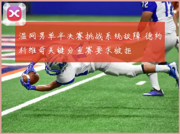 温网男单半决赛挑战系统故障 德约科维奇关键分重赛要求被拒